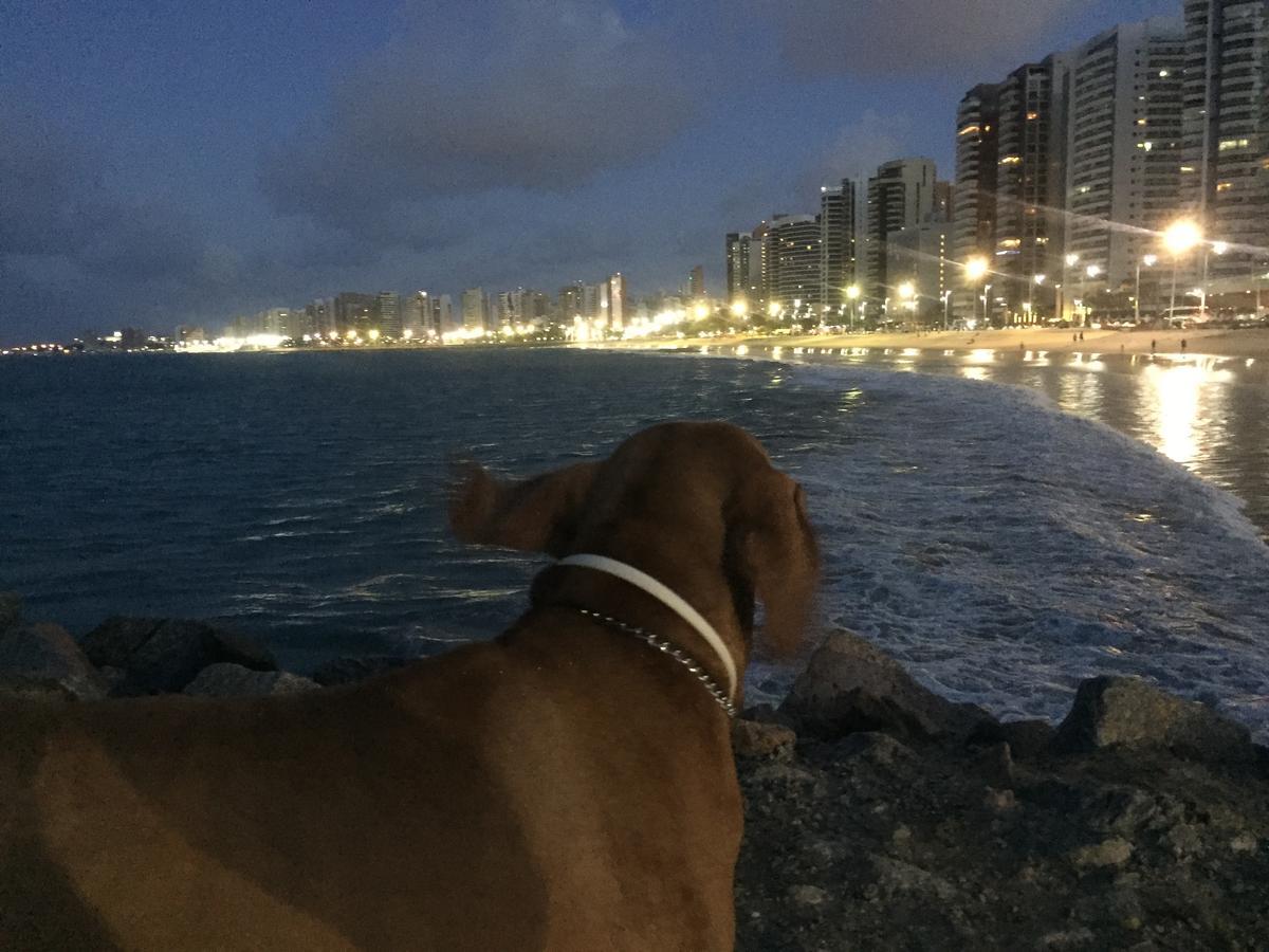 Apartamento Na Melhor Localizacao De Fortaleza!! المظهر الخارجي الصورة